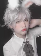 Mr. Rabbit - Gray Slightly Short Curly Wig - image 1