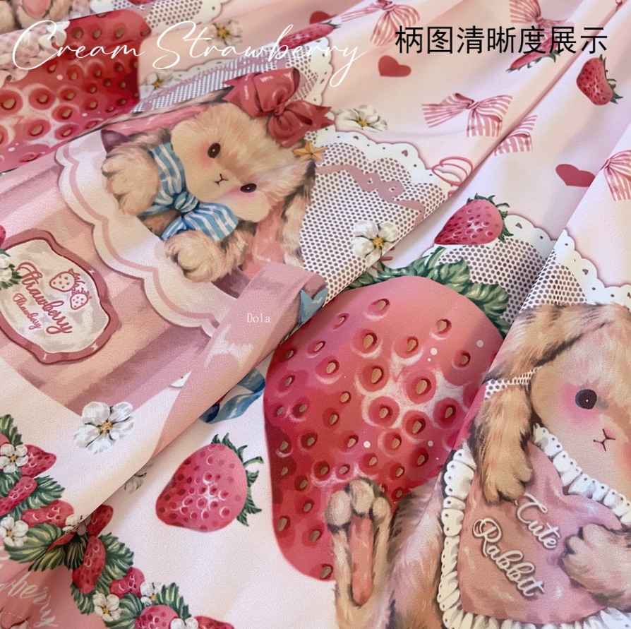 Rabbit Berry Gift Box - Sweet Lolita Salopette and Dress Set - image 43