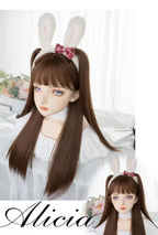 Elegant Lolita Wig Long Straight Wigs - image 16
