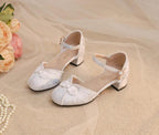 Heart Jade Qi Lolita Chunky Heel Shoes - image 11