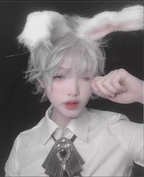 Mr. Rabbit - Gray Slightly Short Curly Wig - image 13