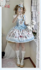 Rabbit Collection Box - Bunny Print Kawaii Lolita JSK Dress, 3 Colors - image 31