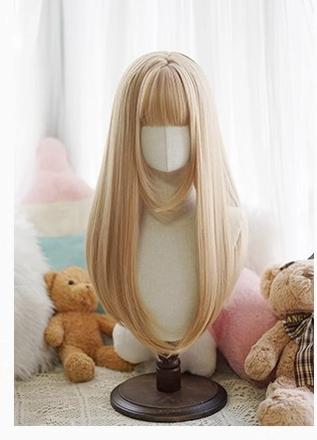 Daily Lolita Wig Long Straight Wigs - image 12