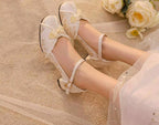 Huaiyu Yana Han Lolita Chunky Heel Shoes - image 12