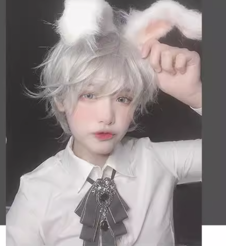Mr. Rabbit - Gray Slightly Short Curly Wig - image 2