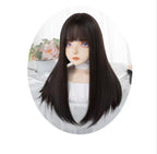 Elegant Lolita Wig Long Straight Wigs - image 12