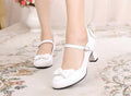 Kawaii Lolita Round Toe Shoes - image 5
