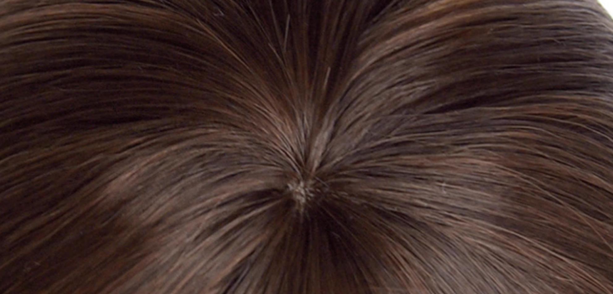Kawaii Brown Bun Ponytail Lolita Wig - image 14