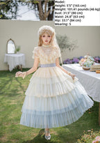 True Vow Embroidered Classic Lolita Dress with Layered Gradient Hem and Accessories - image 11
