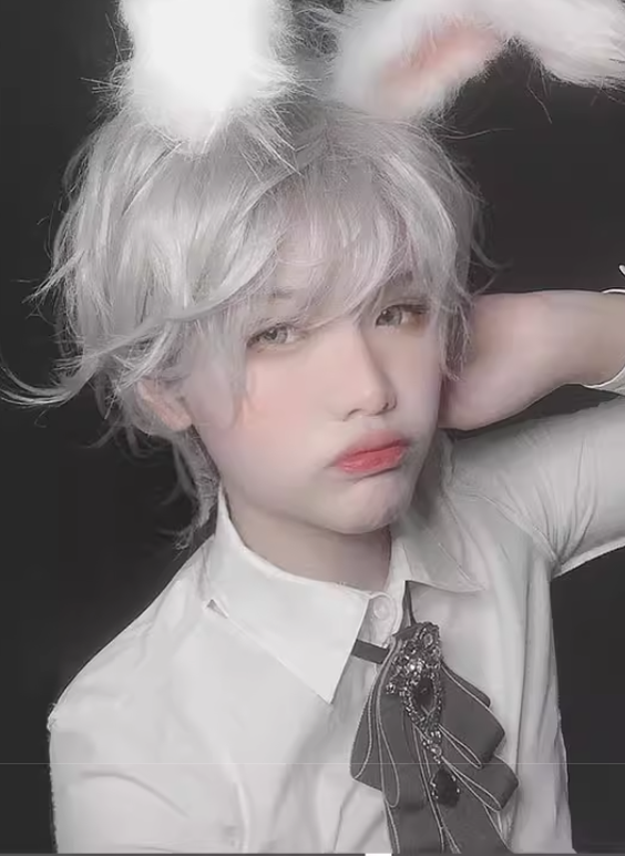 Mr. Rabbit - Gray Slightly Short Curly Wig - image 7