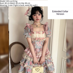 Jewel Rose - Plus Size Sweet Lolita Skirt Set in Separate Pieces - image 13
