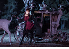 Gothic Lolita Black Cropped Cardigan Jacket - image 15