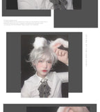 Mr. Rabbit - Gray Slightly Short Curly Wig - image 5