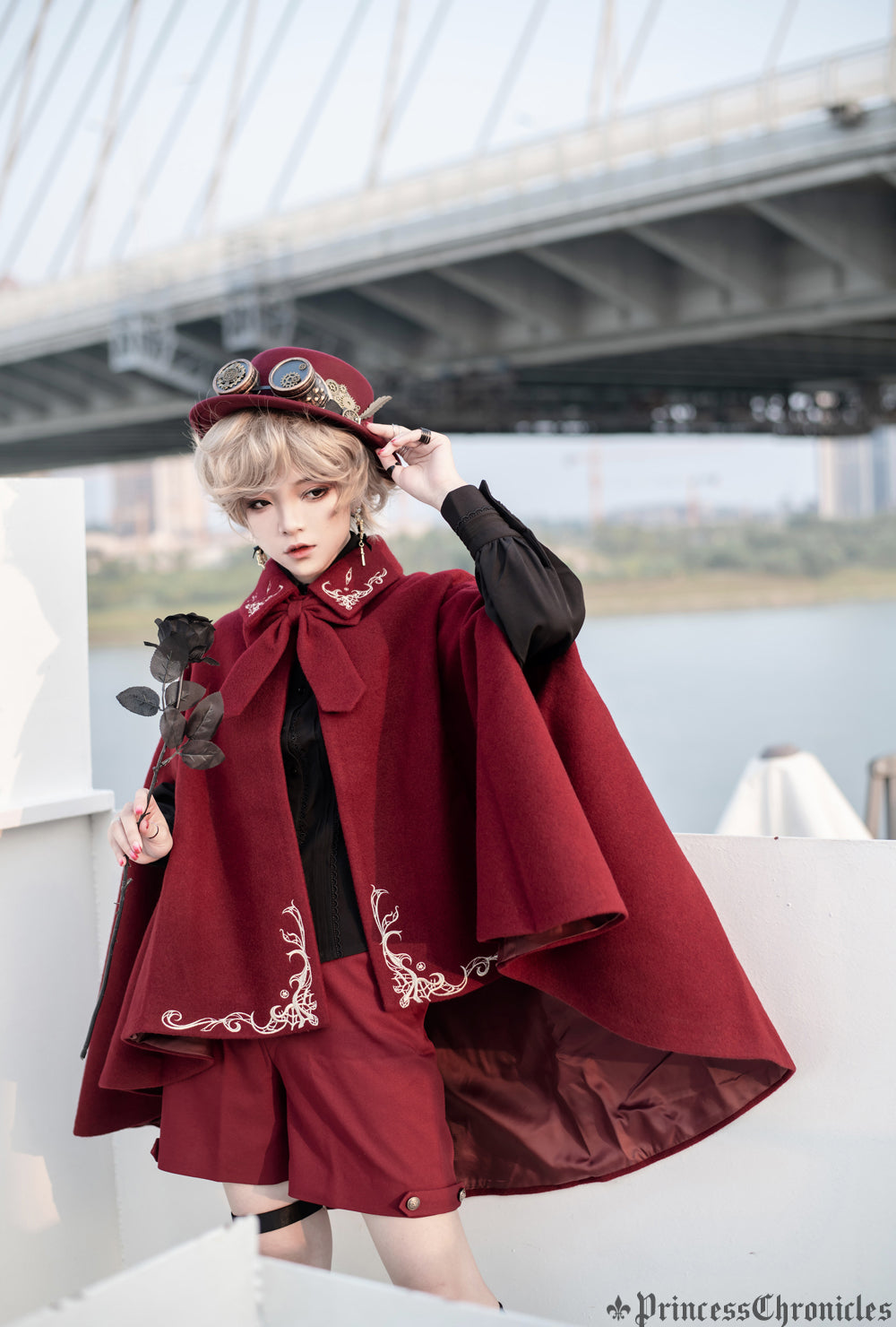 Princess Chronicles Medieval Embroidered Ouji Cape - image 12