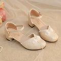 Heart Jade Qi Lolita Chunky Heel Shoes - image 14