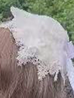 Realm of Sea Moon Sweet Lolita Jacquard JSK and Accessories - image 17
