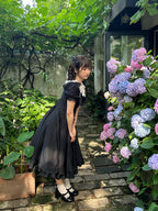 Long Version Elegant and Vintage Lolita OP and Accessories - image 26