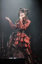 Humanoid Gift Box - Plaid Gothic Lolita Blouse & SK - image 13