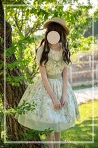 The Rose Dowry - Daily Cotton Lolita OP Dress V-neck Dress - image 1