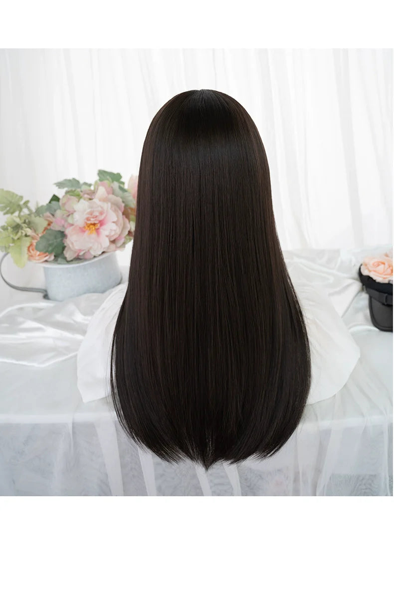 Elegant Lolita Wig Long Straight Wigs - image 14