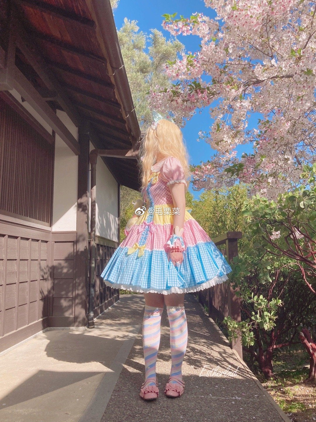 Macaron Lolita Cute Stripe Socks - image 7