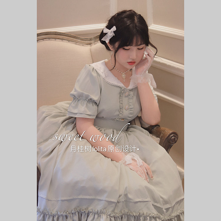 Plus Size Vintage Lolita OP Dress - image 4