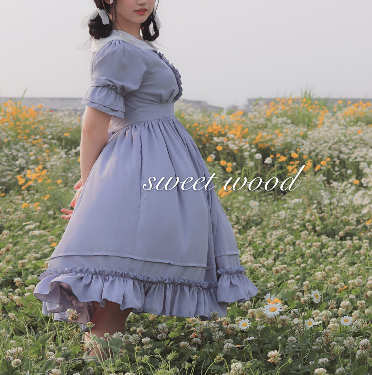 Plus Size Vintage Lolita OP Dress - image 40