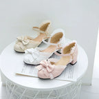 Sweet Lolita Round Toe Chunky Heel Shoes - image 1