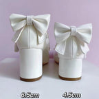 Elegant Lolita Heels Shoes Mary Jane Shoes - image 36