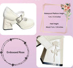 Wanxiang Cycle - Elegant Lolita Heels with Embossed Rose - image 24