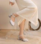 Heart Jade Qi Lolita Chunky Heel Shoes - image 5