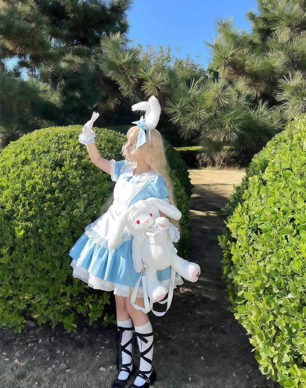 Dream Doll - Plus Size Maid Lolita OP Suit Black and Blue Dress - image 4