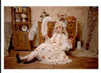 Alice's Cherry - Plus Size Lolita Shirt Chiffon Blouse - image 16