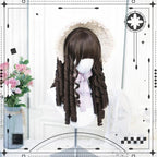 Classic Brown Lolita Wig with Roman Roll - image 4