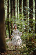 Snow Ear - Rococo Lolita OP Tea Party Dress - image 35