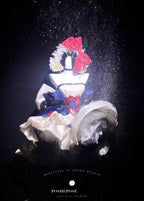 POSHEPOSE - Snow Princess Princess Dress - POSHEPOSE image 1