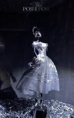 POSHEPOSE - Luminous Moon Silver Antique Long Dress - POSHEPOSE image 1