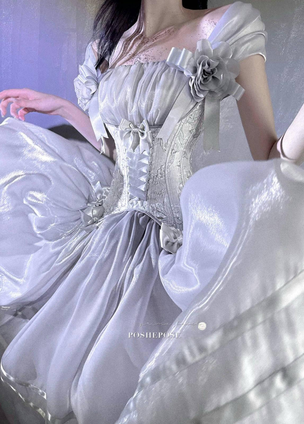 POSHEPOSE - Luminous Moon Silver Antique Long Dress - POSHEPOSE image 4